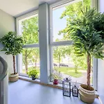 Eg Mitte Helle 70m 2 Naehe Salzburg By Interhome Freilassing