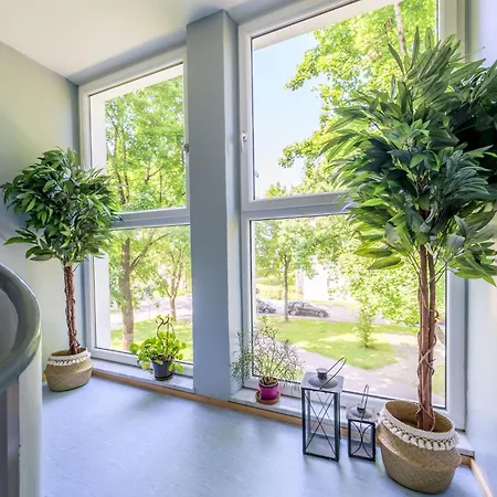 Eg Mitte Helle 70m 2 Naehe Salzburg By Interhome Freilassing